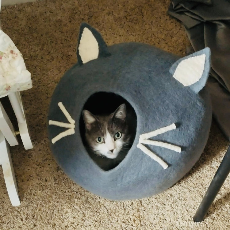 Cozy Cat Cave with Whiskers