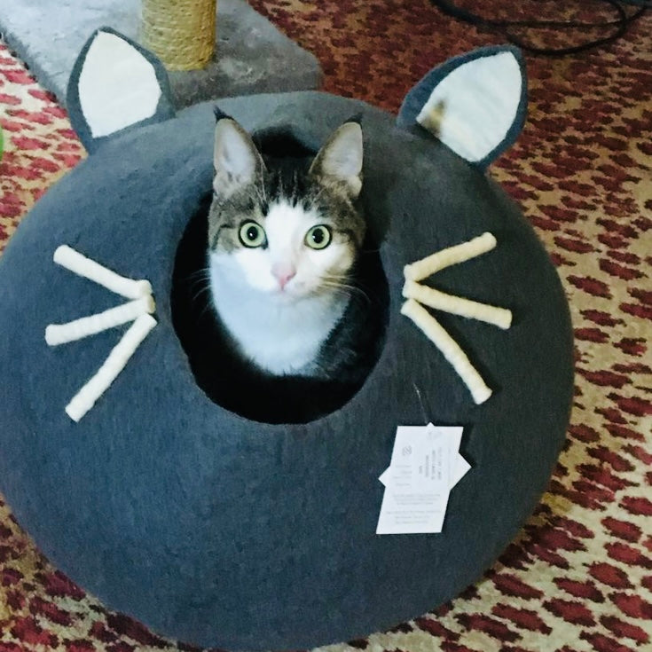Cozy Cat Cave with Whiskers