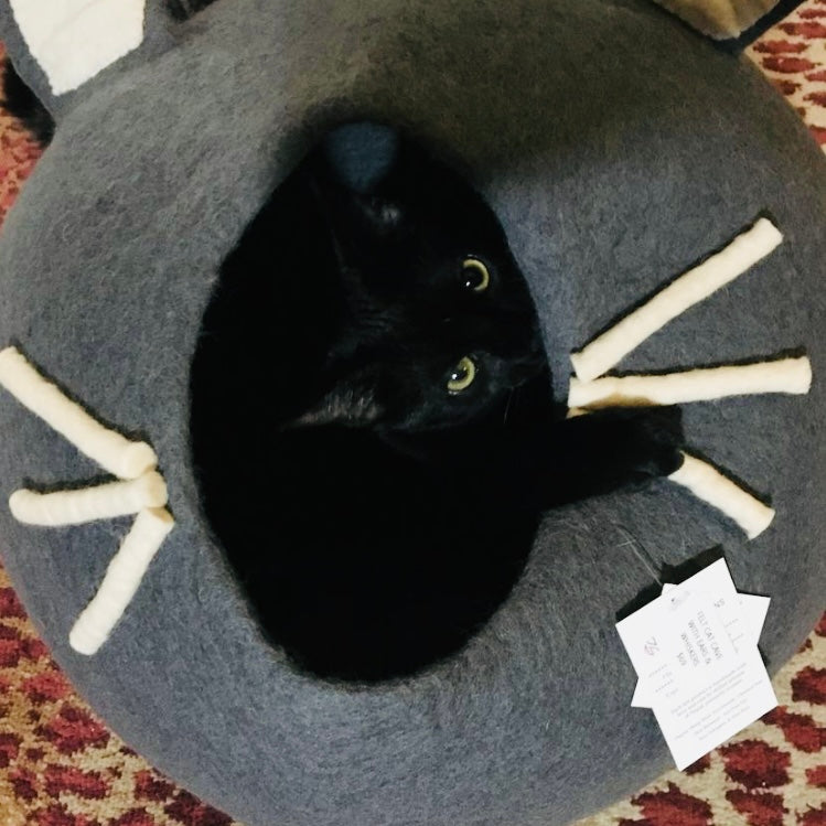Cozy Cat Cave with Whiskers