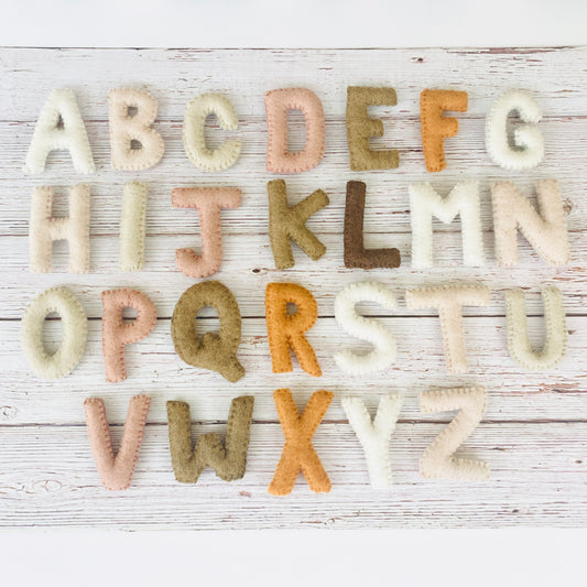 Earth Tone Alphabet Toy Set
