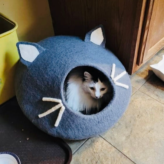 Cozy Cat Cave with Whiskers