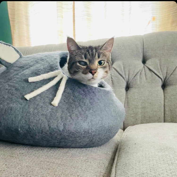 Cozy Cat Cave with Whiskers