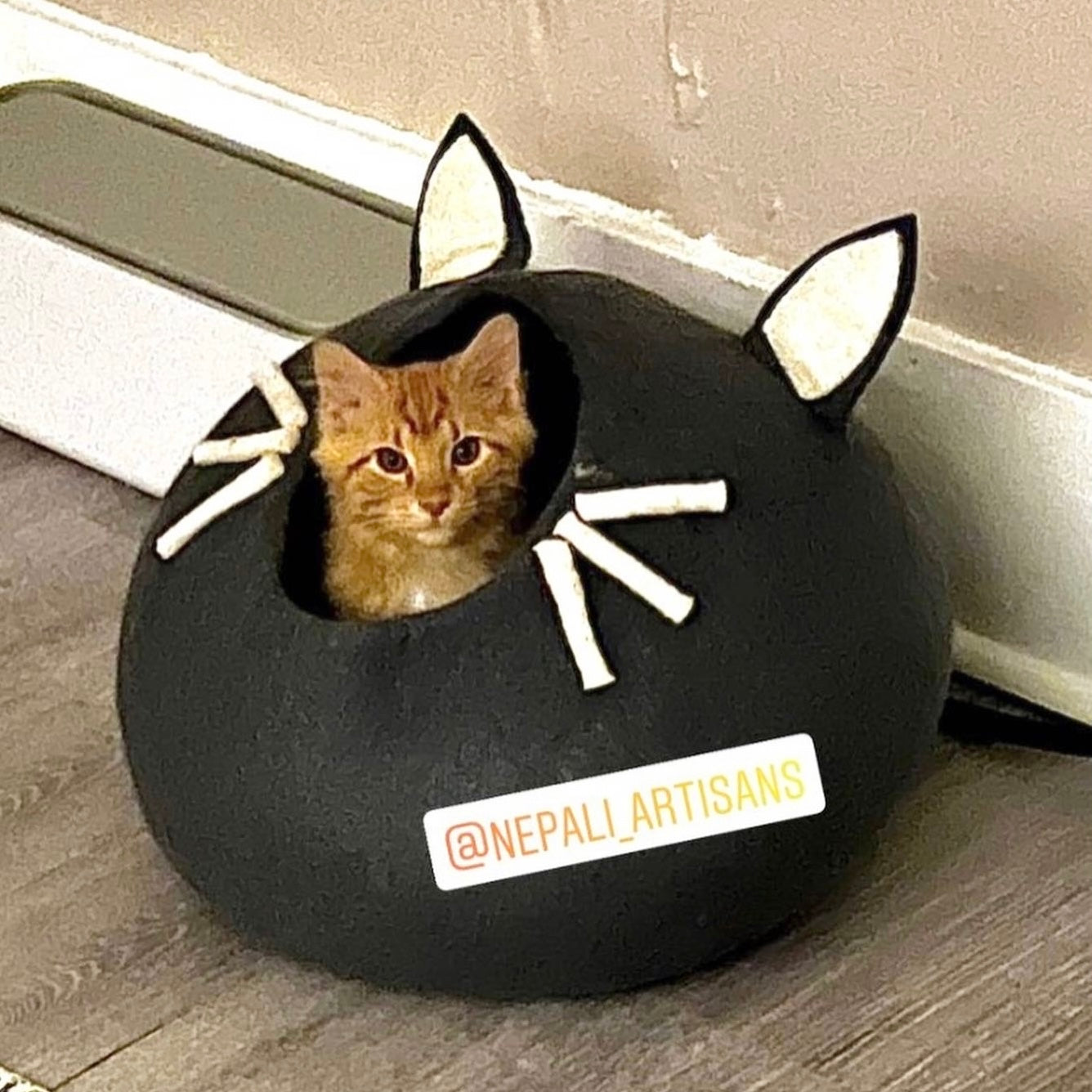 Cozy Cat Cave with Whiskers