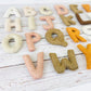 Earth Tone Alphabet Toy Set